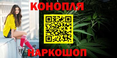сатива Братск