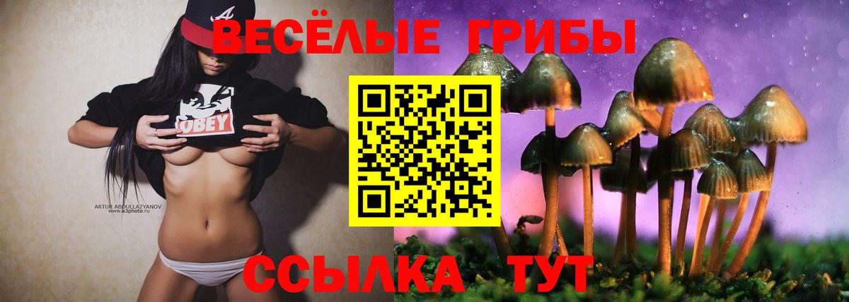 Горно-Алтайск  купить наркотики сайты  Вход с VPN  Галлюциногенные грибы Cubensis 